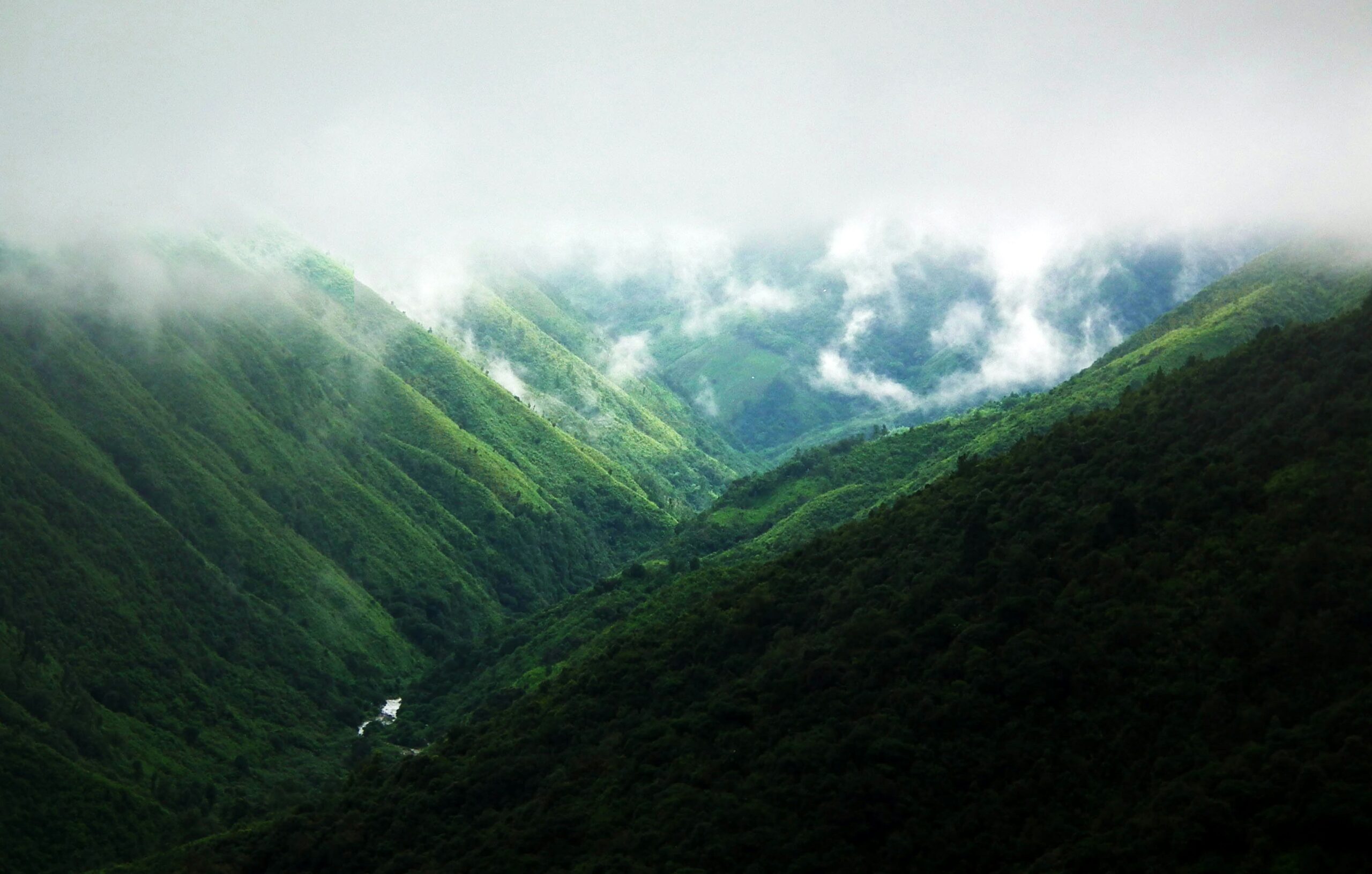 sukumar-bardoloi-kWjU2ZS53U8-unsplash